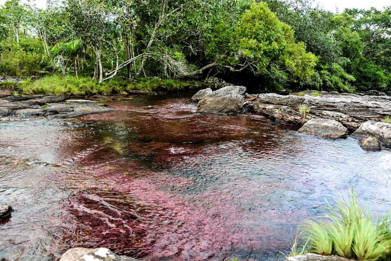 San Jose del Guaviare